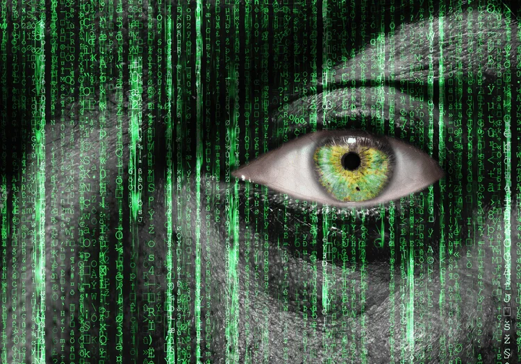 privacy intrusions and digital security